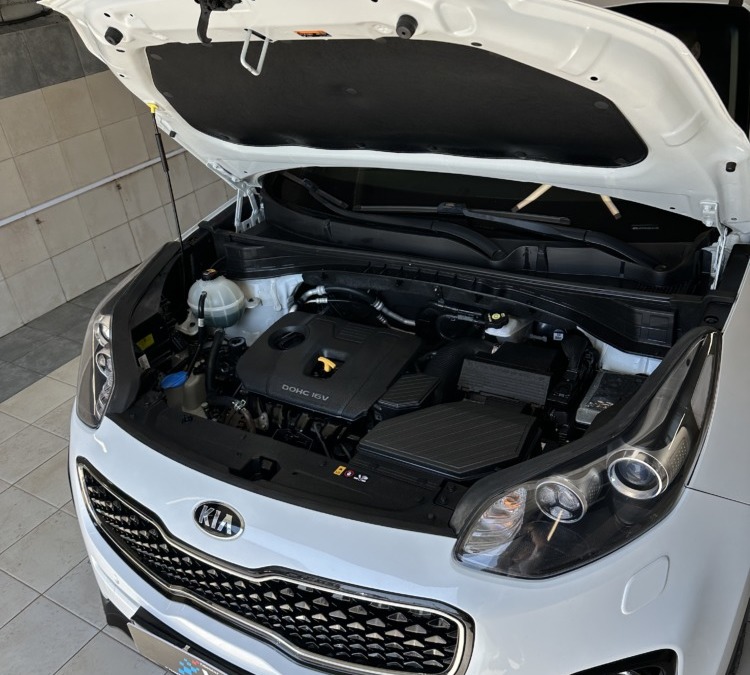 Мойка двигателя и подкапотного пространства автомобиля Kia Sportage