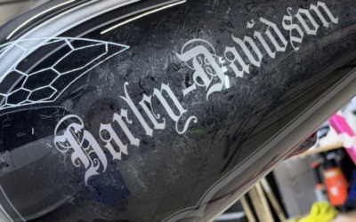 Забронировали бак и крыло мотоцикла Harley-Davidson полиуретановой пленкой