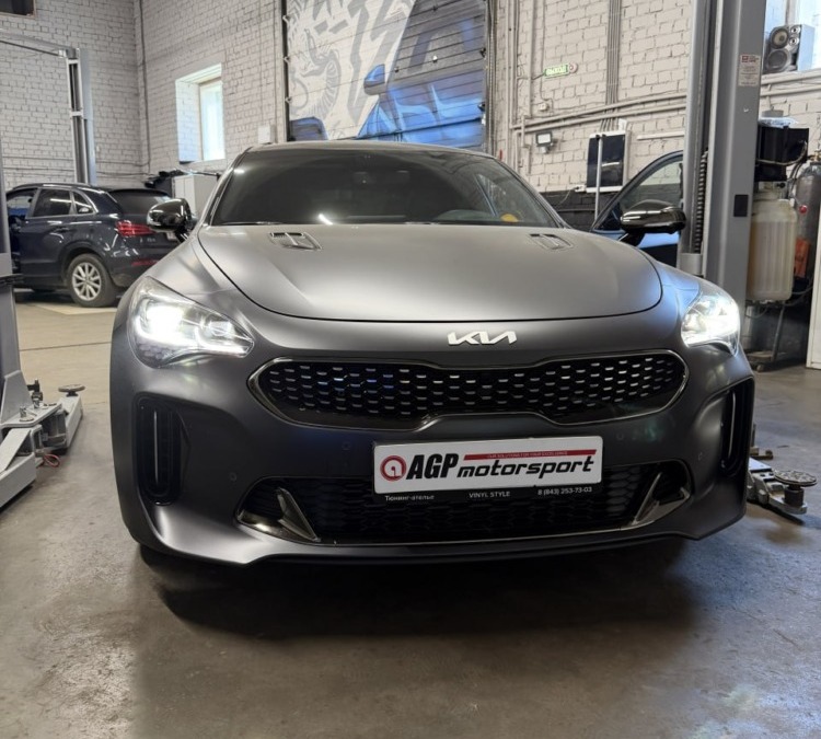 Чип тюнинг Kia Stinger 2.0 в Казани — Stage 1 280 л.с, 420 Н.м